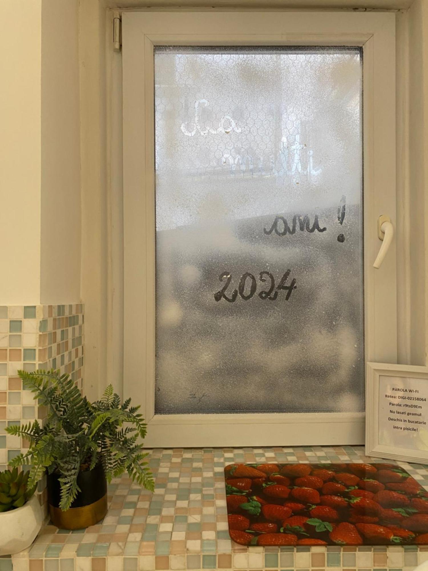 Vintage Apartament Ultracentral Craiova Kültér fotó